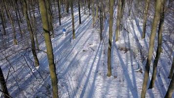 View from height to woman in warm clothes strolls along a path among the beautiful winter snow-covered landscape. Clear video