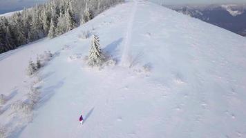 Flight over the lonely tourist girl takes a photo of nature on a smartphone. Clear frosty weather video