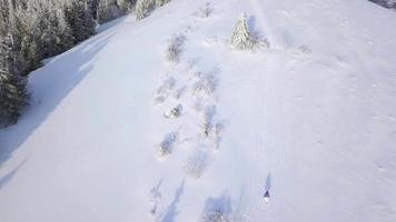 Flight over the lonely tourist girl takes a photo of nature on a smartphone. Clear frosty weather video