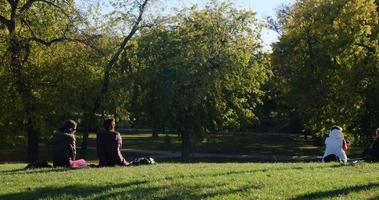 pessoas estão em repouso dentro a parque dentro natureza. sentar em a gramado e falar. outono clima video