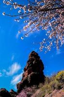 Scenic rocky landscape photo