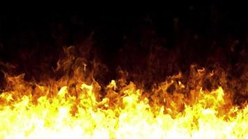 garfos do chama. fogo cenas em Preto fundo. chama animação visual efeito. chama luz video