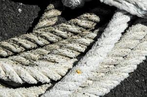 White nautical rope photo