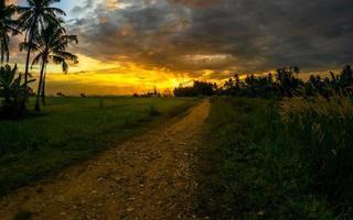 rural vacío la carretera a oscuridad. campo puesta de sol paisaje foto