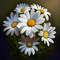 Bouquet of many white field daisies - image photo