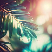 Blur beautiful nature green palm leaf on tropical beach with bokeh sun light flare wave abstract background. Summer vacation and business travel concept space - image photo