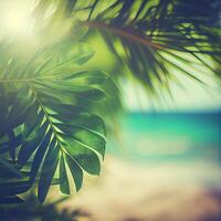 Blur beautiful nature green palm leaf on tropical beach with bokeh sun light flare wave abstract background. Summer vacation and business travel concept space - image photo