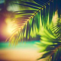 Blur beautiful nature green palm leaf on tropical beach with bokeh sun light flare wave abstract background. Summer vacation and business travel concept space - image photo