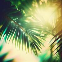 Blur beautiful nature green palm leaf on tropical beach with bokeh sun light flare wave abstract background. Summer vacation and business travel concept space - image photo