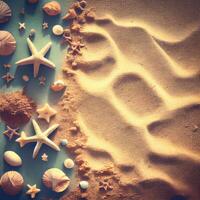 Seashells background on sand - image photo