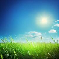 Bright sun shines on green morning grassy meadow, bright blue sky - image photo