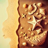 Seashells background on sand - image photo