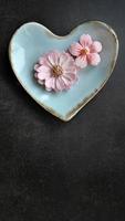 Coconut milk flavor, pastel pink color, Sam Pan Nee traditional Thai handcraft snack on pastel blue heart shape plate, Dark background, vertical image with copy space photo