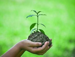 Selective focus on Little seedling in soil on child hand photo