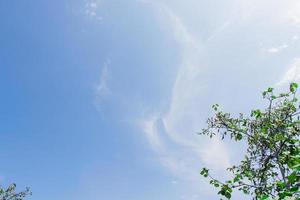 un azul cielo con arboles en un soleado día, después algunos ediciones foto