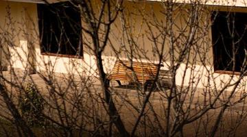 A bench for sitting in front of a building with bare branches. photo