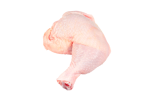 Frais brut Frais brut poulet Viande isolé sur transparent Contexte. poulet pilon ou jambe, Haut voir. png filehicken Viande, isolé sur blanc Contexte. poulet pilon ou jambe, Haut voir.