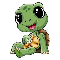 Cute baby turtle a sitting vector