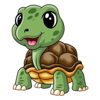 Cute baby turtle a smile vector