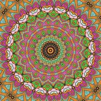 A colorful mandala with a pattern of flowers vector