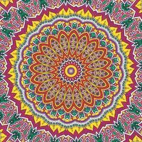 A colorful mandala with a pattern of flowers vector