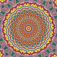 A colorful mandala with a pattern of flowers vector