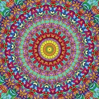 A colorful mandala with a flower pattern vector