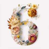 Number 6 containing flowers on a white background photo