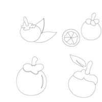 mangosteen icon vector