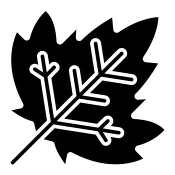 Maple Leaf vector icon