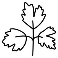 Parsley vector icon