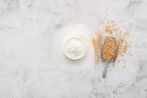 Wheat grains and white wheat flour in measure bowl set up on white concrete background. photo