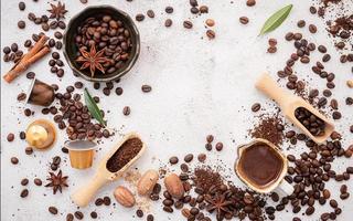 Background of various coffee , dark roasted coffee beans , ground and capsules with scoops setup on white concrete background with copy space. photo