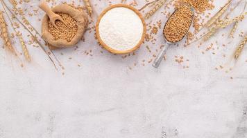 Wheat grains and white wheat flour in wooden bowl set up on white concrete background. photo