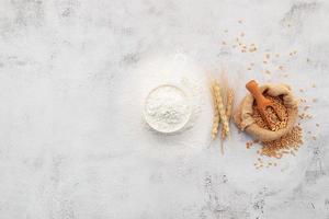 Wheat grains and white wheat flour in measure bowl set up on white concrete background. photo