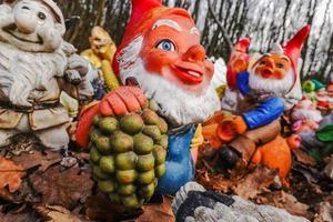 colorful garden gnomes with grapes at a place in the forest photo