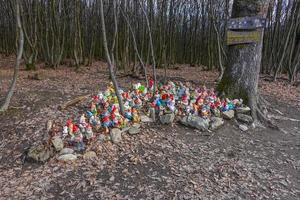 huge group of colorful garden gnomes at a place in the forest photo