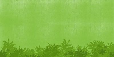 Green grass background photo