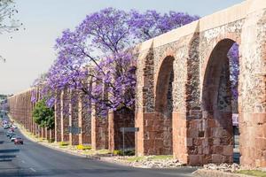 Queretaro Mexico aqueduct with jacaranda tree and purple flowers photo