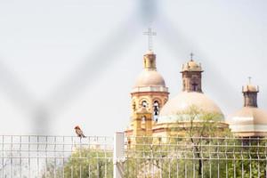Bird perches on a fence in front of the church in the temple of the cross in queretaro mexico photo