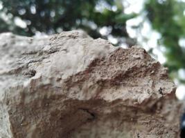 Soil block natural photography photo