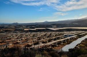 Rows of solar panels photo