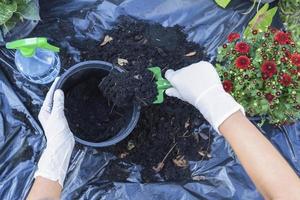 Hands holding abundance soil for agriculture or preparing to plant in a black flowerpot.  Testing soil samples on hands with soil ground background. Dirt quality and farming concept. photo