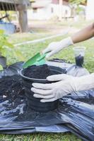 Close-up of a black flowerpot and woman's hands with white gloves preparing the soil for planting flowers into a pot. Planting flowers in the garden home. Gardening at summer photo