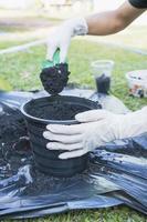 Close-up of a black flowerpot and woman's hands with white gloves preparing the soil for planting flowers into a pot. Planting flowers in the garden home. Gardening at summer photo