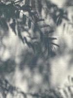 Leaves shadow background on concrete wall texture, leaves tree branches shade with sunlight photo