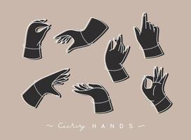 Set of curvy hands with fingers icons in different positions drawing with black color on beige background vector