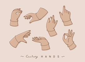 Set of curvy hands with fingers icons in different positions drawing with beige color on grey background vector