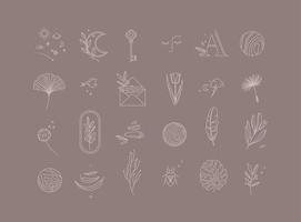 Symbols in modern minimal style drawing on cocoa background. vector