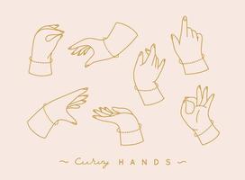 Set of curvy hands with fingers icons in different positions drawing on peach background vector